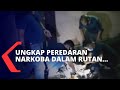 Sita puluhan butir pil ekstasi polisi ungkap peredaran narkoba di rutan