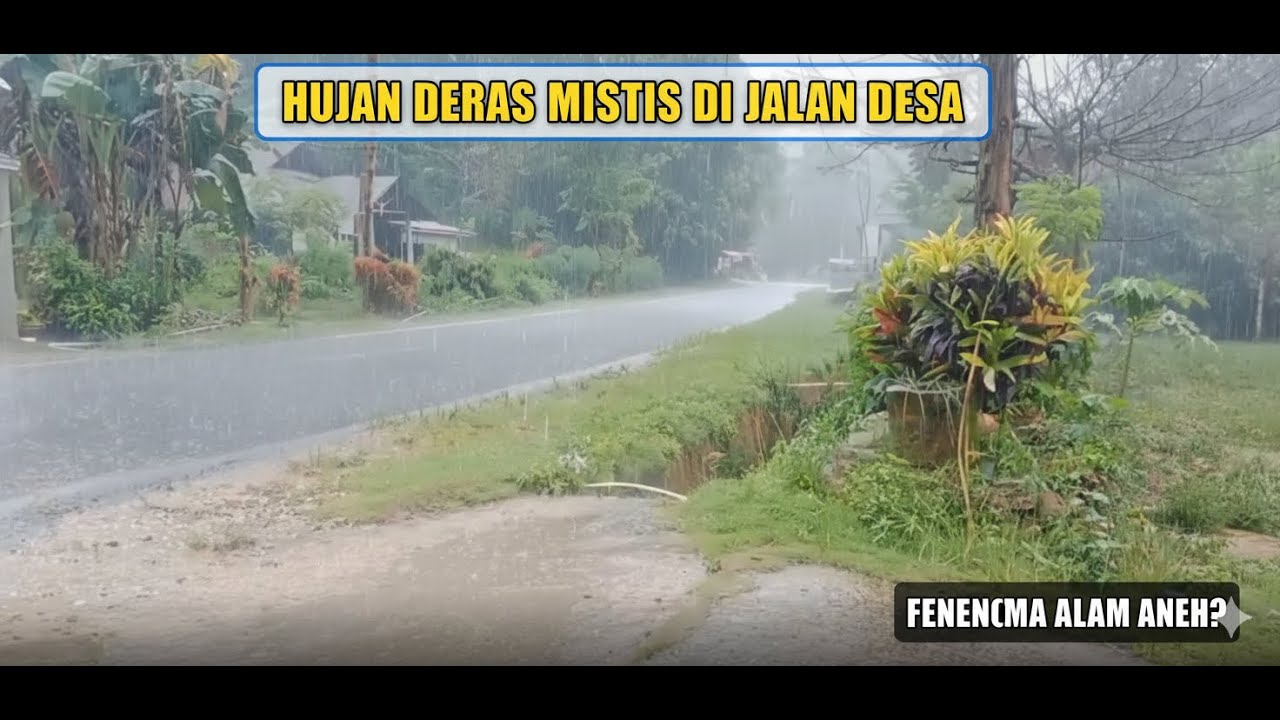 Heavy Rain in Rural Village | Cinematic Nature Ambience & Calming SoundsMerge fellas live