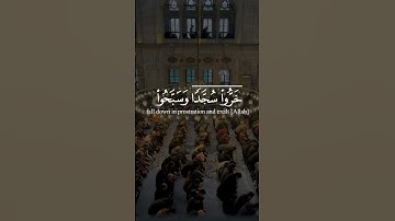 سورة السجدة | الآية ١٥ تلاوة عبد الرحمن مسعد