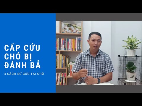 Video: Sơ Cứu Cho Thú Cưng Của Bạn, Bộ Sơ Cứu Thú Y Trong Nước