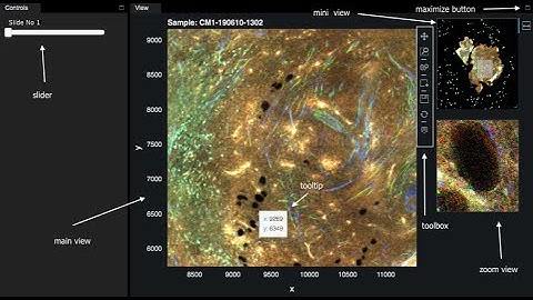 Multiresolution Image Viewer in Jupyter Notebooks