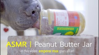 Max vs Peanut Butter Jar | ASMR DOG LICKING