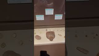 Native American Artifacts