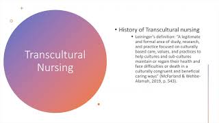 Nur391 Dr. Leiningertranscultural Nursing Presentation