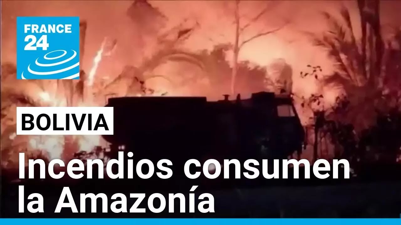 Más de 10 millones de hectáreas de bosque en Bolivia han sido arrasadas por los incendios
