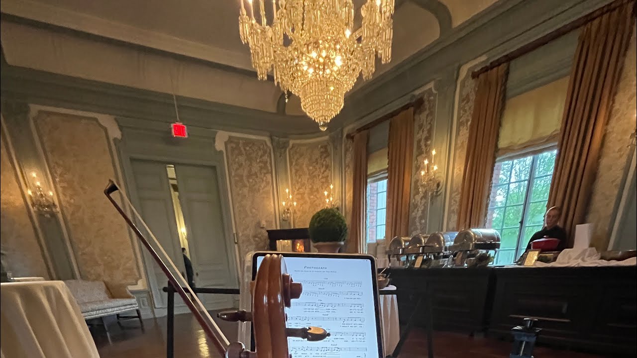 Wedding Cocktail hour Violin Live Music in Long Island NY