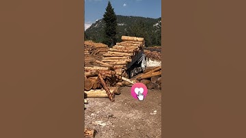 Truck Unloading Logs at the Site - Amazing Process!