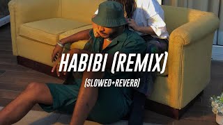 King & Ricky Rich - Habibi [Indian Remix] (Slowed+Reverb) Resimi