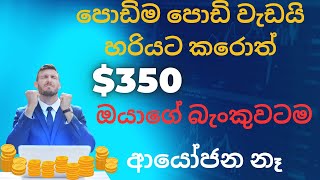 How to Earn E - Money in Sinhala 2024 | Article Publishing With Copy Paste Sinhala |100% Free|#itech