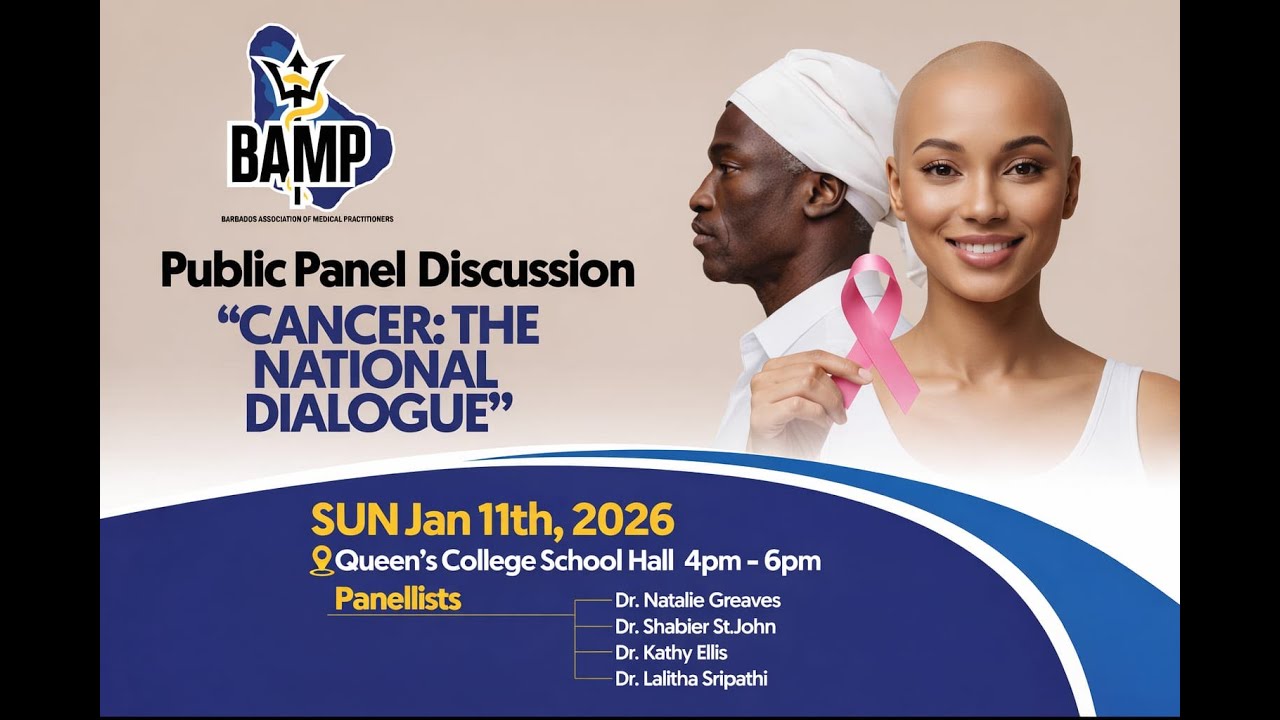 BAMP Presents a Public Panel Discussion 