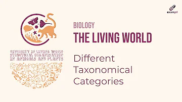 Biology Class 11 Chapter 1 |Taxonomical Aids |The Living World L-4 |  NEET 2022 | Exampil