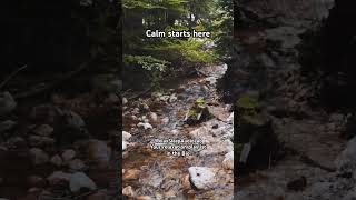 Stop Overthinking Tonight | Relaxing Ambient Music for a Quiet Mind