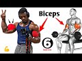 "6 Best Biceps Workouts for Bigger Arms 💪 | Build Size &amp; Strength Fast"
