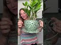 How cute!! #planter