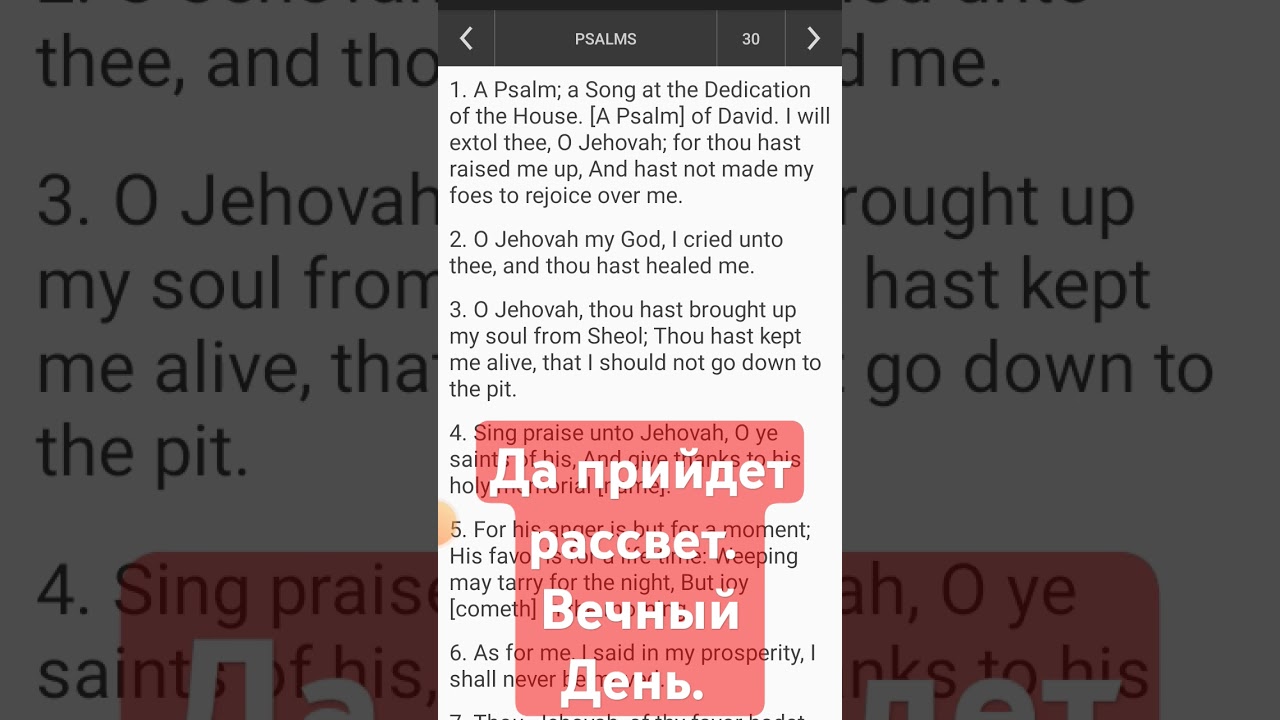 Алекс Суир Тэроск Кэйсадд. Вечный. День. СПб. Россия
