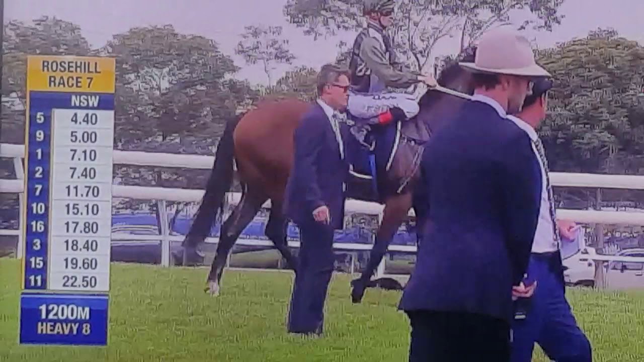 Golden Slipper , Rosehill 2019 Kiamichi wins  .