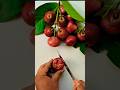 Java apple Season Cutting 🍒 Java apple Creative arts #shorts #trending #fruit_cut_arts