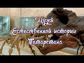 Музей Естественной истории Татарстана