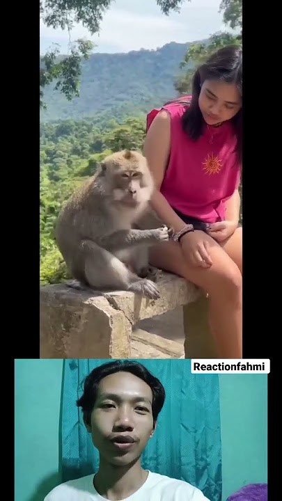 Cuma ziva yang akur sama monyet 🐒 malah bisa main tebak-tebakan 😂🤣 #shorts #zivamagnolya #reaction