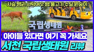 충남 서천 국립생태원 리뷰 야외편 - 한국에 이런곳이 있다니  / 사슴 펭귄 사막여우 뱀 원숭이 까지 / 군산갔다가 같이 가는곳 / 서천여행지