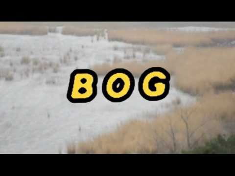 BOG (Coral Harp ver.)