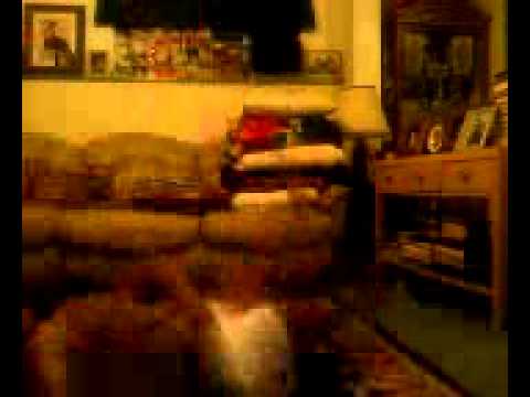 Ranker Video