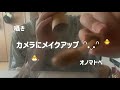 【ASMR】カメラに直接メイクアップ（囁き・オノマトペ）