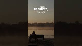 Аль-Ахзаб | Чтец -​ عبد الله مصطفى |  Abdullah Mustafa​|  Уповай на Аллаха