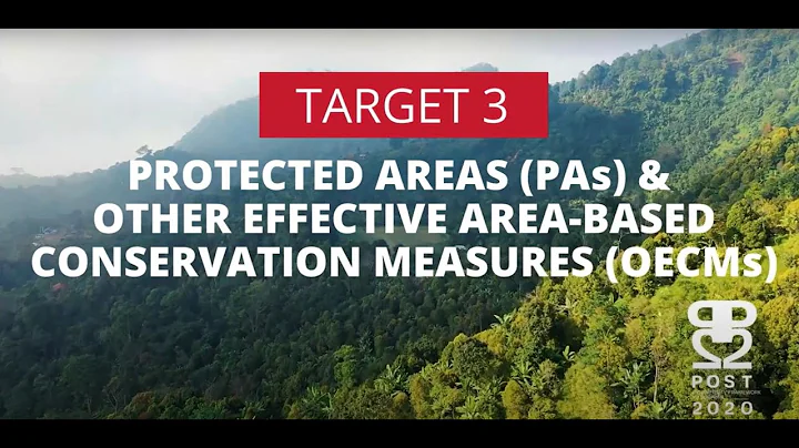 Transformative actions needed to implement the KMGBF Target 3!