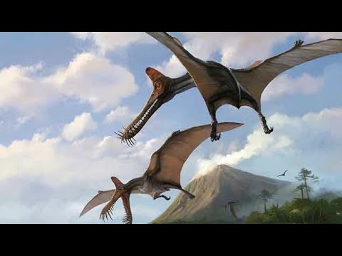 Video: Kelemumur Dinosaurus Memberikan Wawasan Mengenai Evolusi Burung Prasejarah