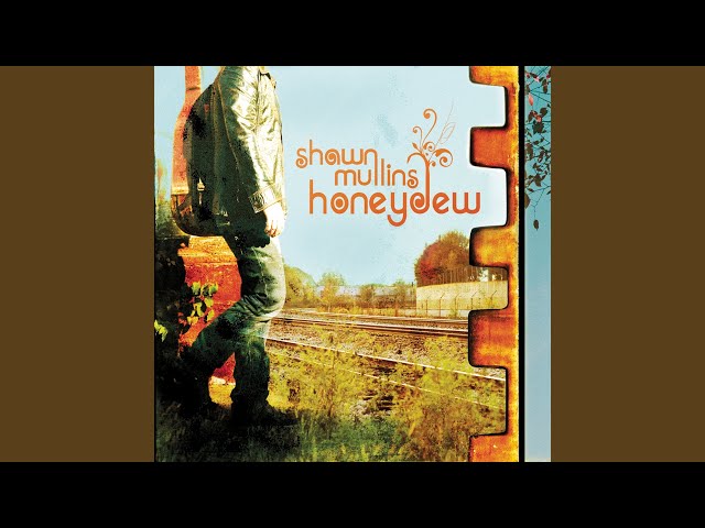 Shawn Mullins - All In My Head