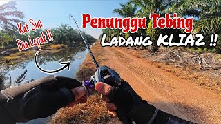 HARUAN LEPAK TEPI TEBING !! CASTING HARUAN DI LADANG SAWIT KLIA2 || SOFTFROG FG CRAFT LURE. screenshot 2