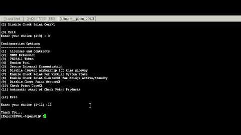 CheckPoint CoreXL-Assigning Core to Interface