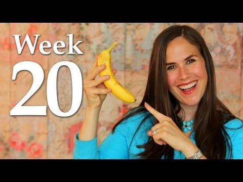 My Pregnancy @ 20 Weeks + Ultrasound Info