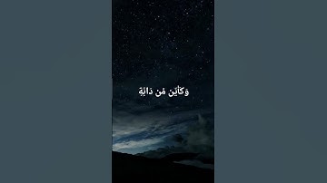 الَّذِينَ صَبَرُوا وَعَلَىٰ رَبِّهِمْ يَتَوَكَّلُونَ #تلاوة_خاشعة #رح_سمعك #عبد_الرحمن_مسعد