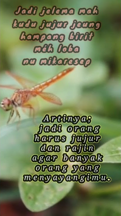 Kata Bijak Bahasa Sunda 2022 || hampang birit #shorts