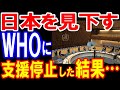 【海外の反応】感動!日本を見下すWHOにブチ切れした一人の日本人が快挙!WHOへの支援をストップした結果大変な事に…【日本の魂】