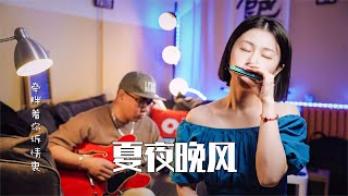 伍佰的一首冷门歌曲，特别适合即将来的的夏天，口琴《夏夜晚风》【吹口琴的小园园】