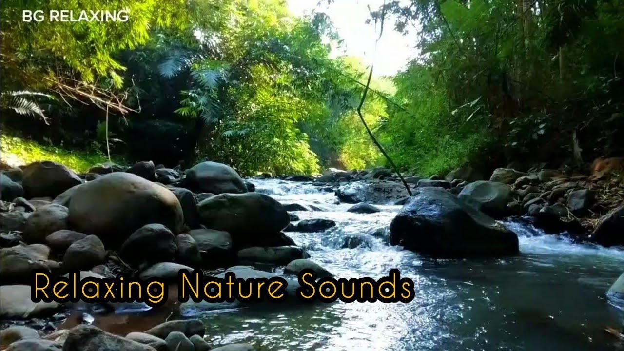 Beautiful Mountain River Sound, Forest River, Relaxing Nature Sounds ...
