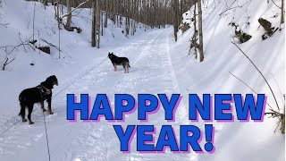 New Years Wishes for 2023 | Happy New Year Everyone 🎈🎇🎉 | Peace On Earth