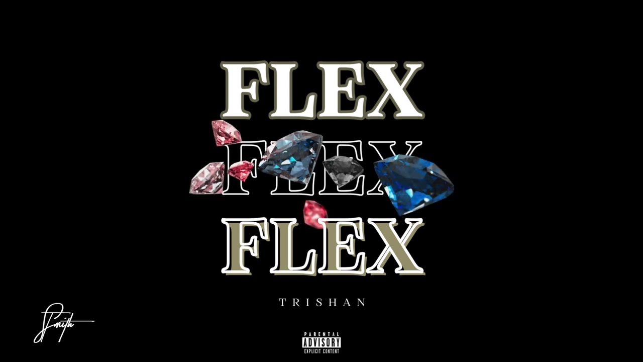 YouTube에서 Trishan - FLEX (Audio Visualizer) 보기 YouTube에서 Trishan - FLEX (Audio Visualizer) 보기