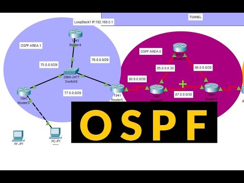 Video: OSPF e2 yolu nedir?