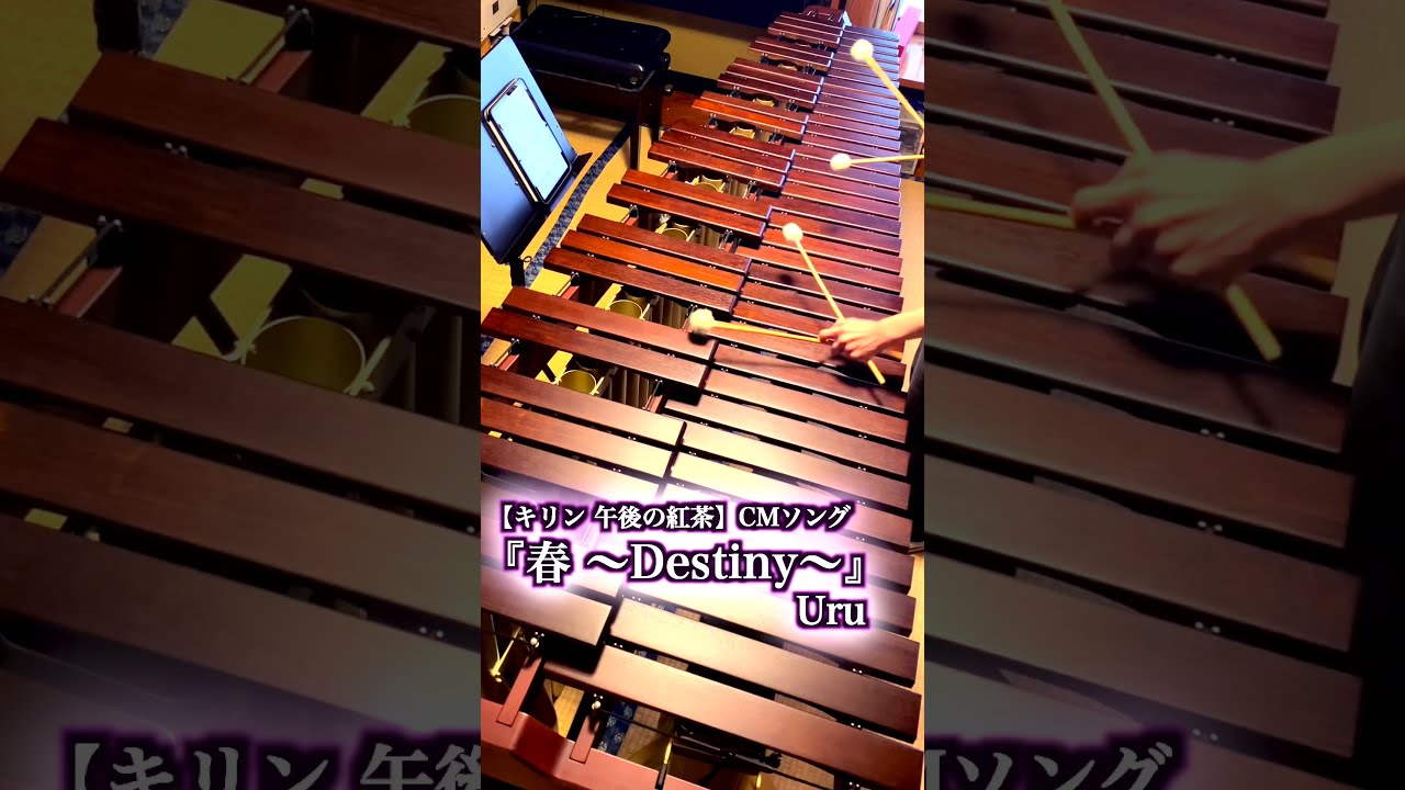 『春 ~Destiny~』 Uru / 『キリン 午後の紅茶』CMソング / マリンバ ソロ 演奏 #shorts #marimba #music