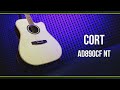 Электроакустическая гитара CORT AD890CF NT