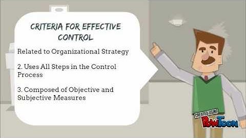 management control system