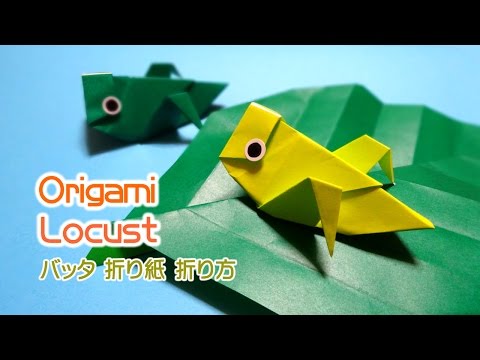 Origami Locust 折り紙 バッタ 折り方 Youtube