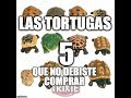 LAS 5 TORTUGAS QUE NO DEBISTE COMPRAR