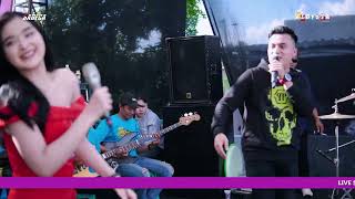 Download Lagu LAILA AYU KDI \u0026 BAYU PRATAMA - NEW ALBYSTA LIVE TULANGAN  | SADEGA OFFICIAL- DUTA PRIMA AUDiO MP3