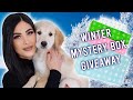 Jeffree Star Winter Mystery Box Giveaway 2020 + Thirsty & Mini Breaker Palette Eyeshadow Tutorial