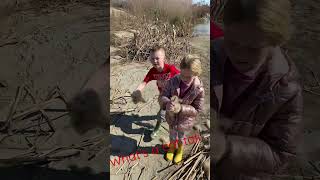 Whats Inside A Cat Tail